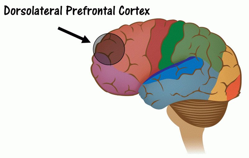 Punishment Driven Development - brain
